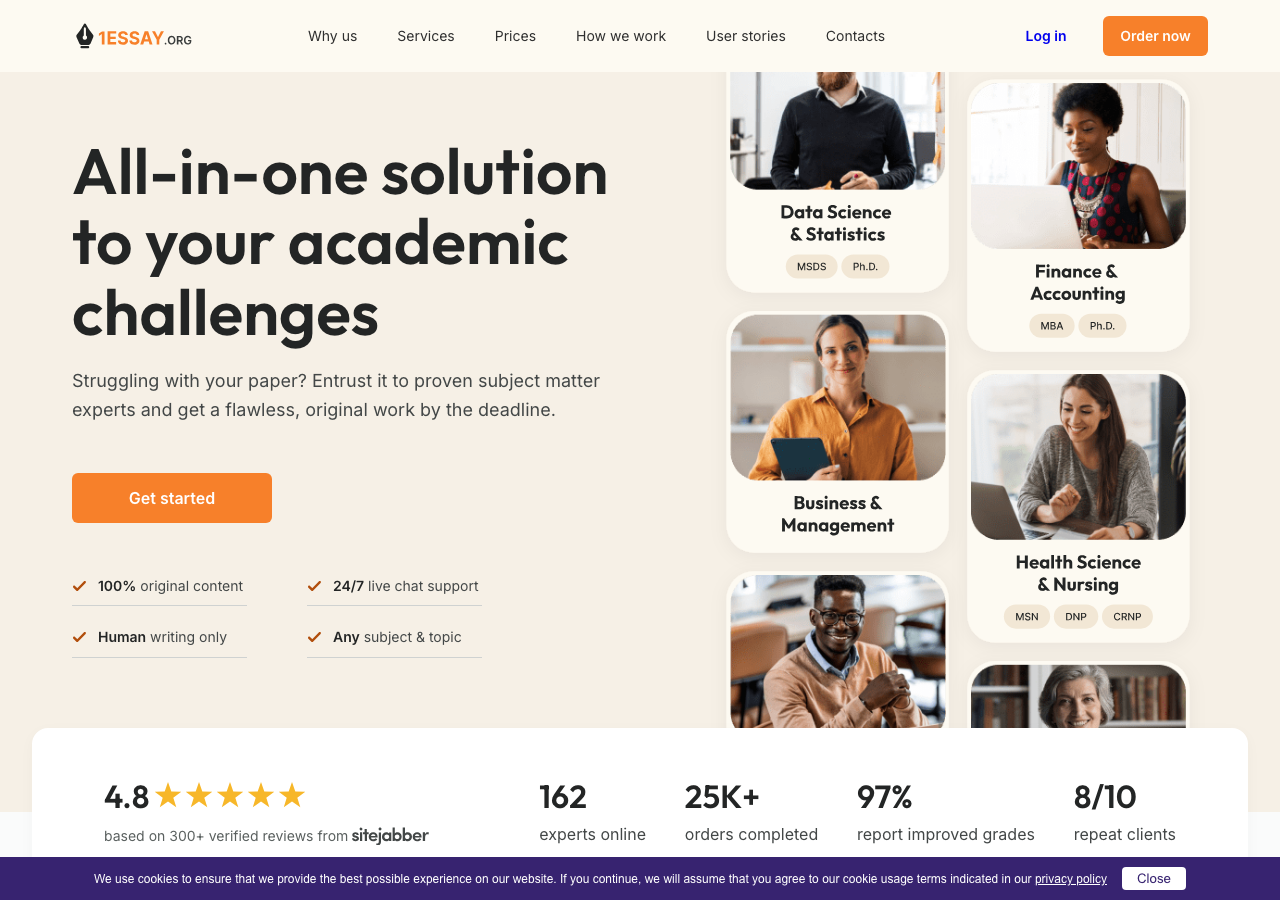 1Essay homepage