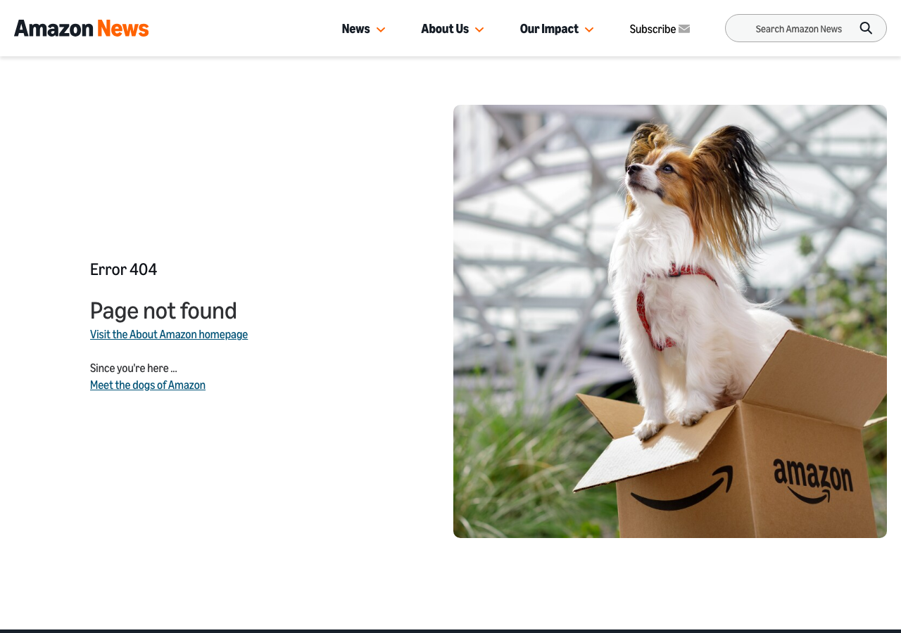 Amazon Nova interface