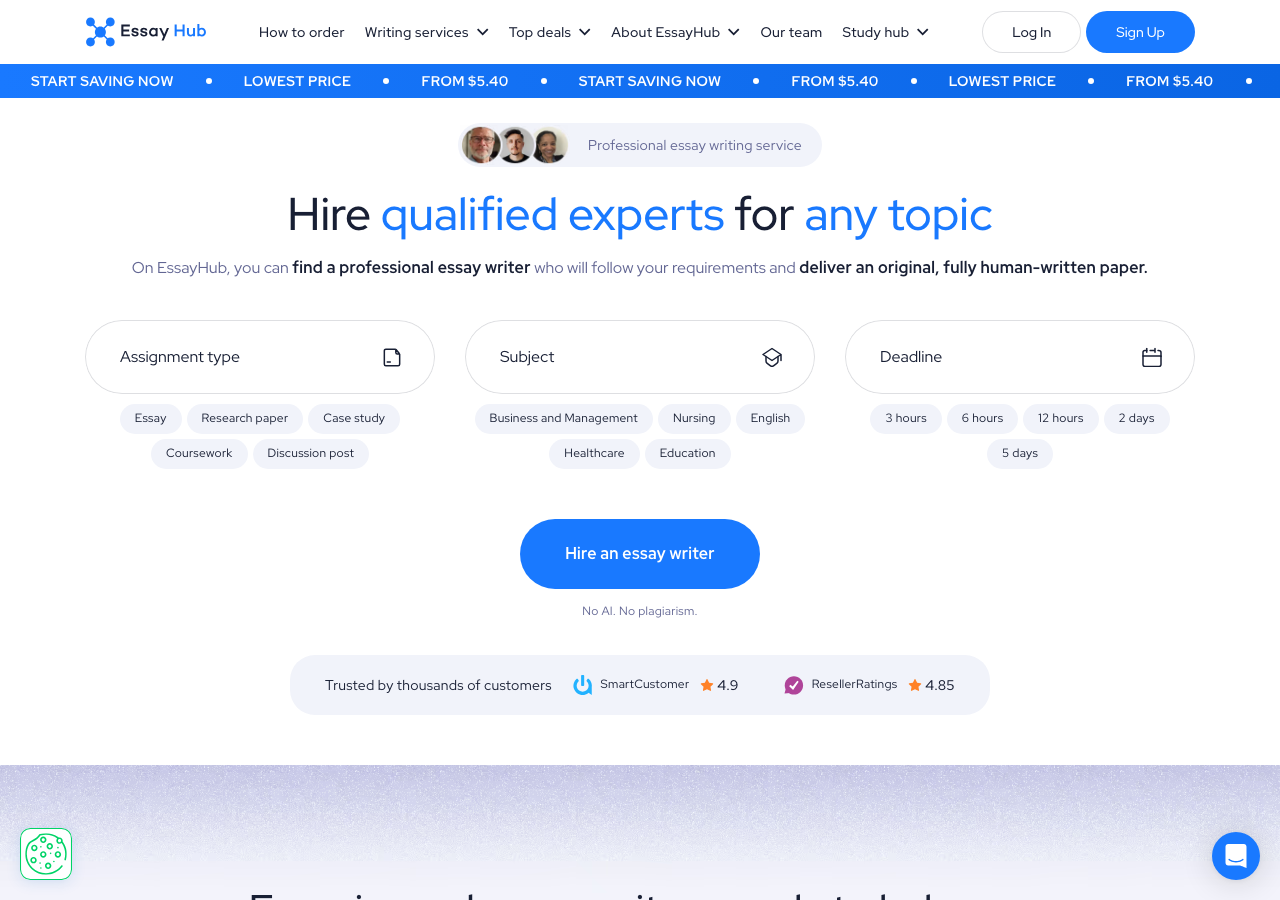 EssayHub homepage