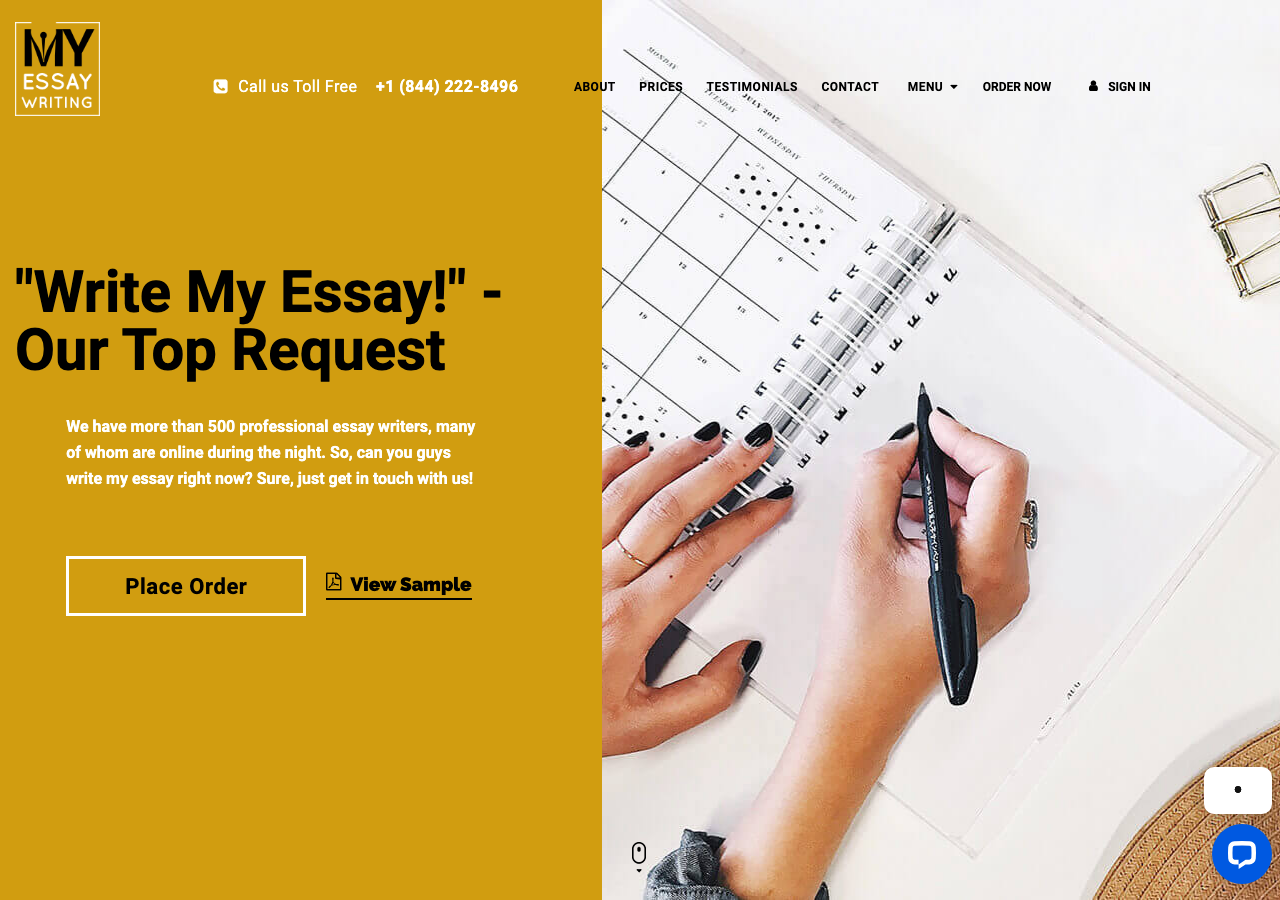 MyEssayWriting homepage