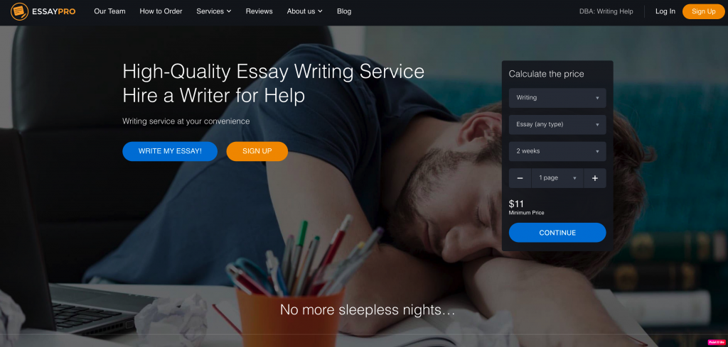 review of essay pro