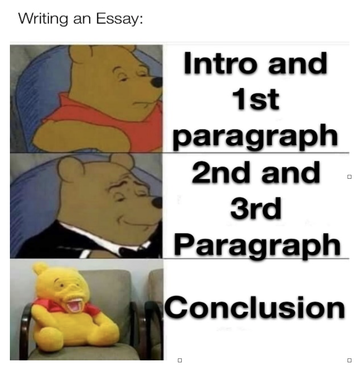 essay exam meme