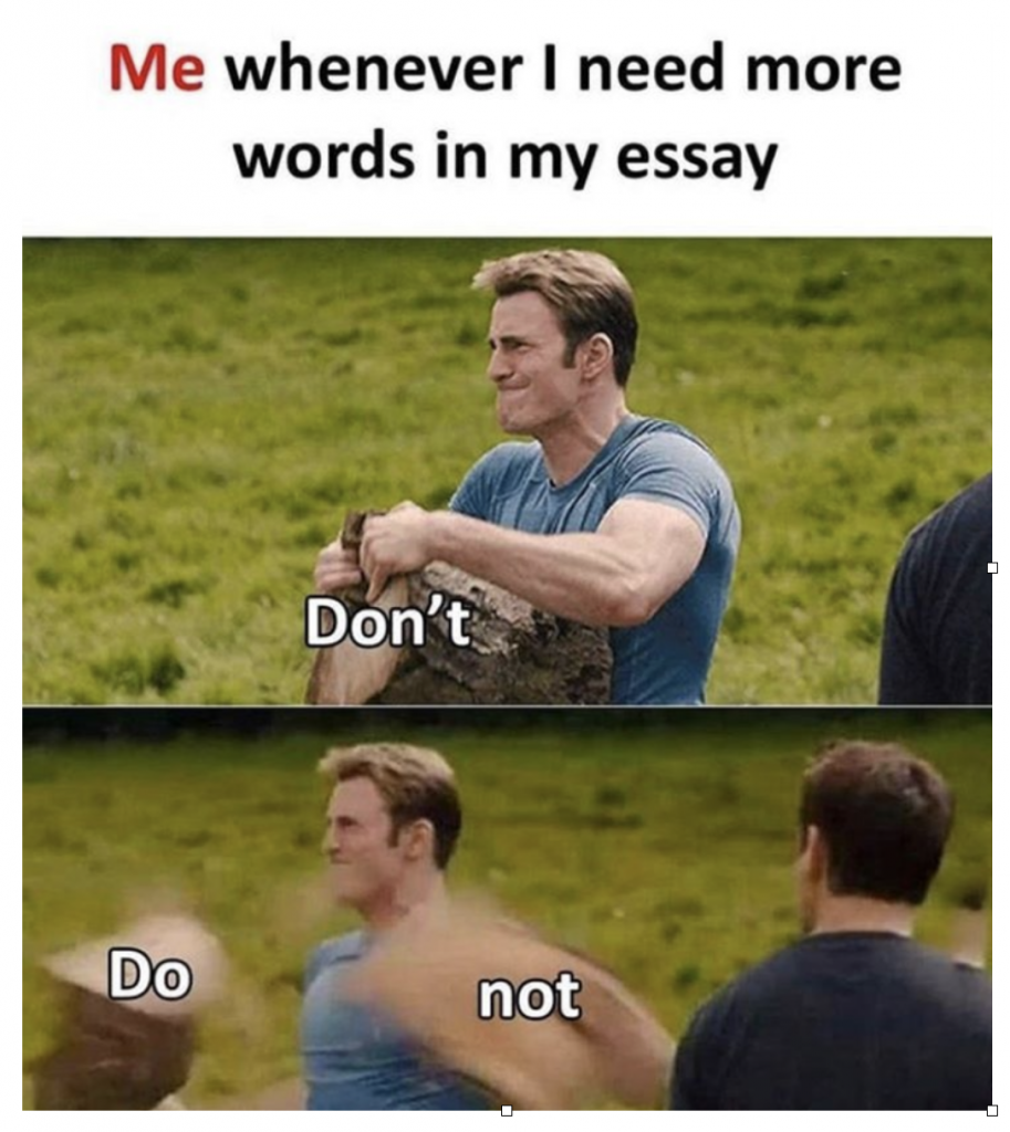 essay meme word count